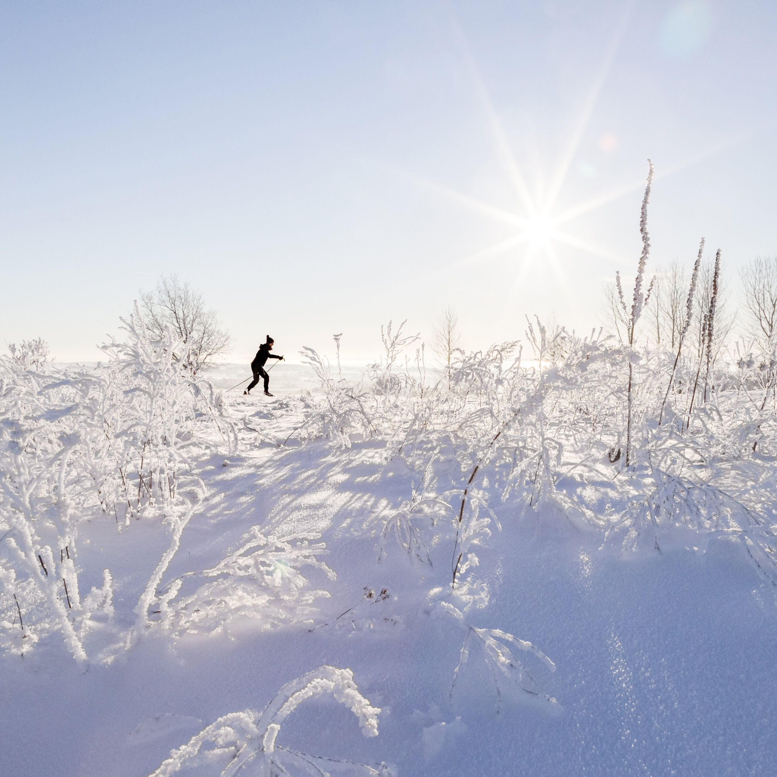 Winter On The Bjare Peninsula Bastad